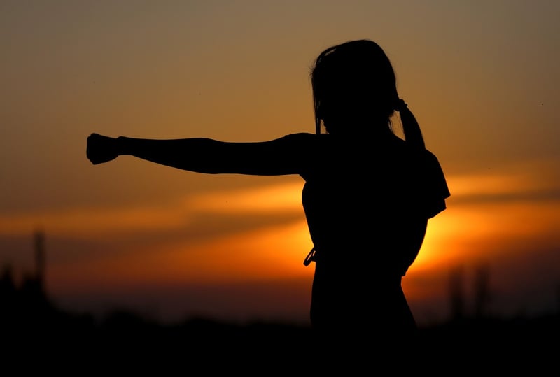 Wu Style Tai Chi